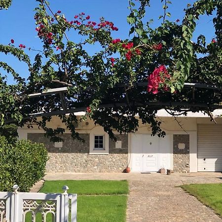 Flampouria Villa Amalaya מראה חיצוני תמונה
