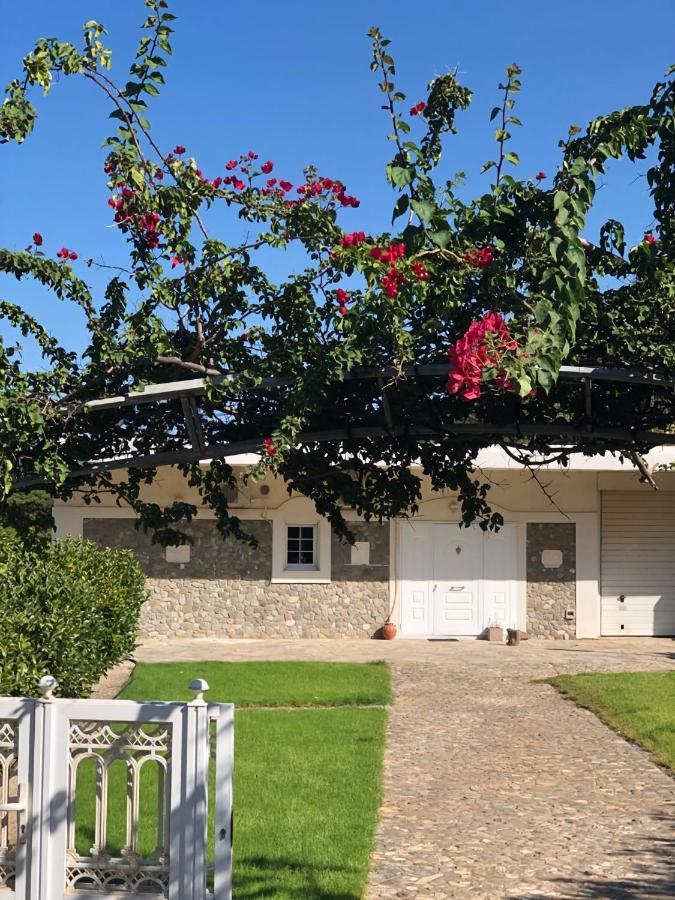 Flampouria Villa Amalaya מראה חיצוני תמונה